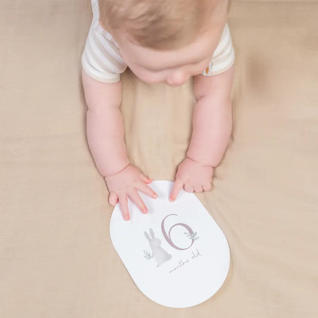 Baby Milestone Cards Baby Bunny