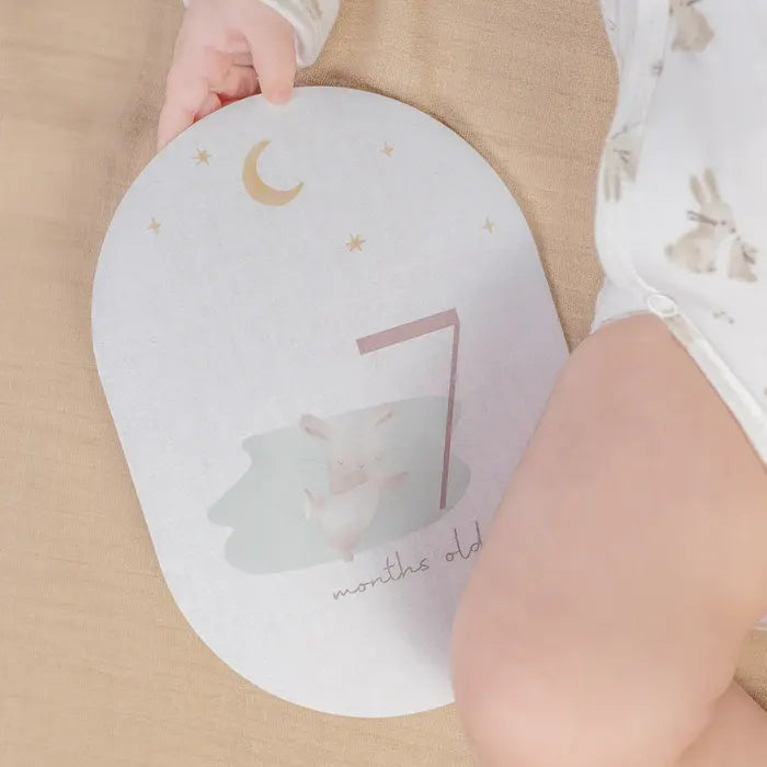 Baby Milestone Cards Baby Bunny