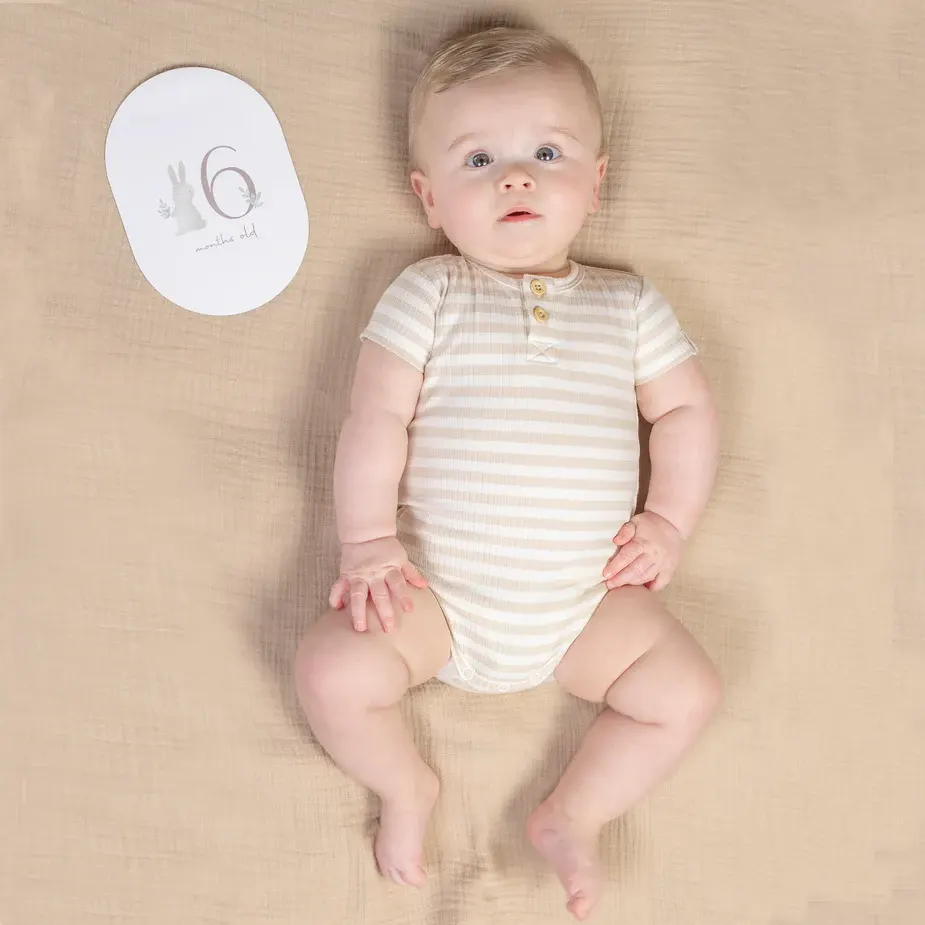 Baby Milestone Cards Baby Bunny