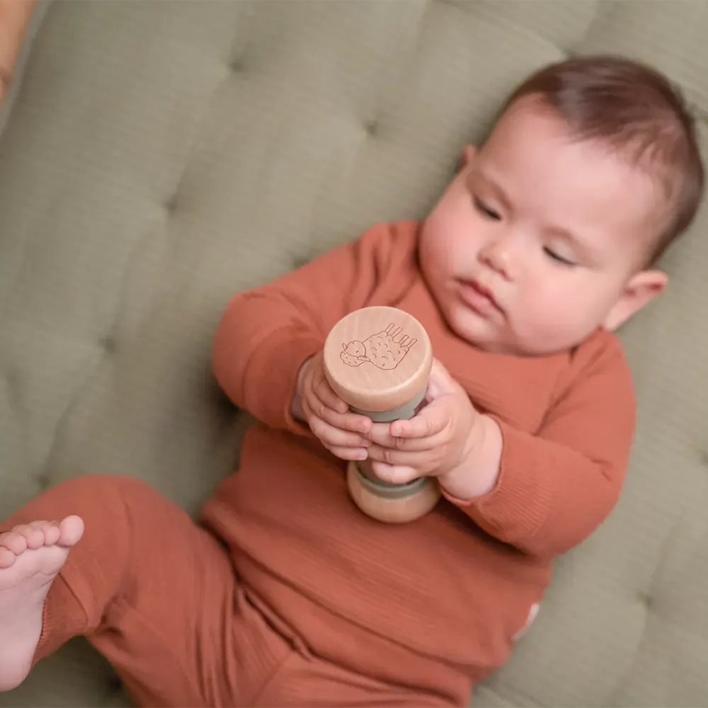 Sensory Baby Rain Rattle - Little Farm