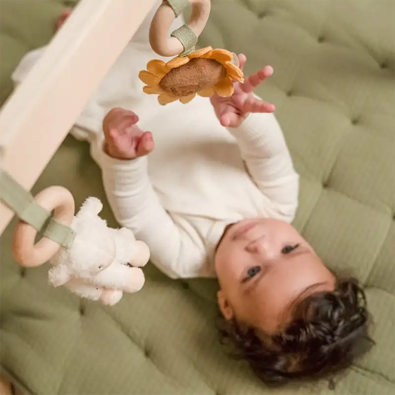 Little Farm Wooden Play Activity Baby Gym (Excludes Mat)
