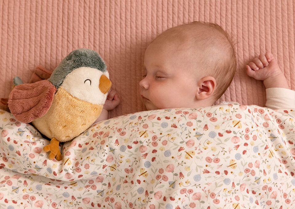 Flowers & Butterflies Baby Comforter Gift Box