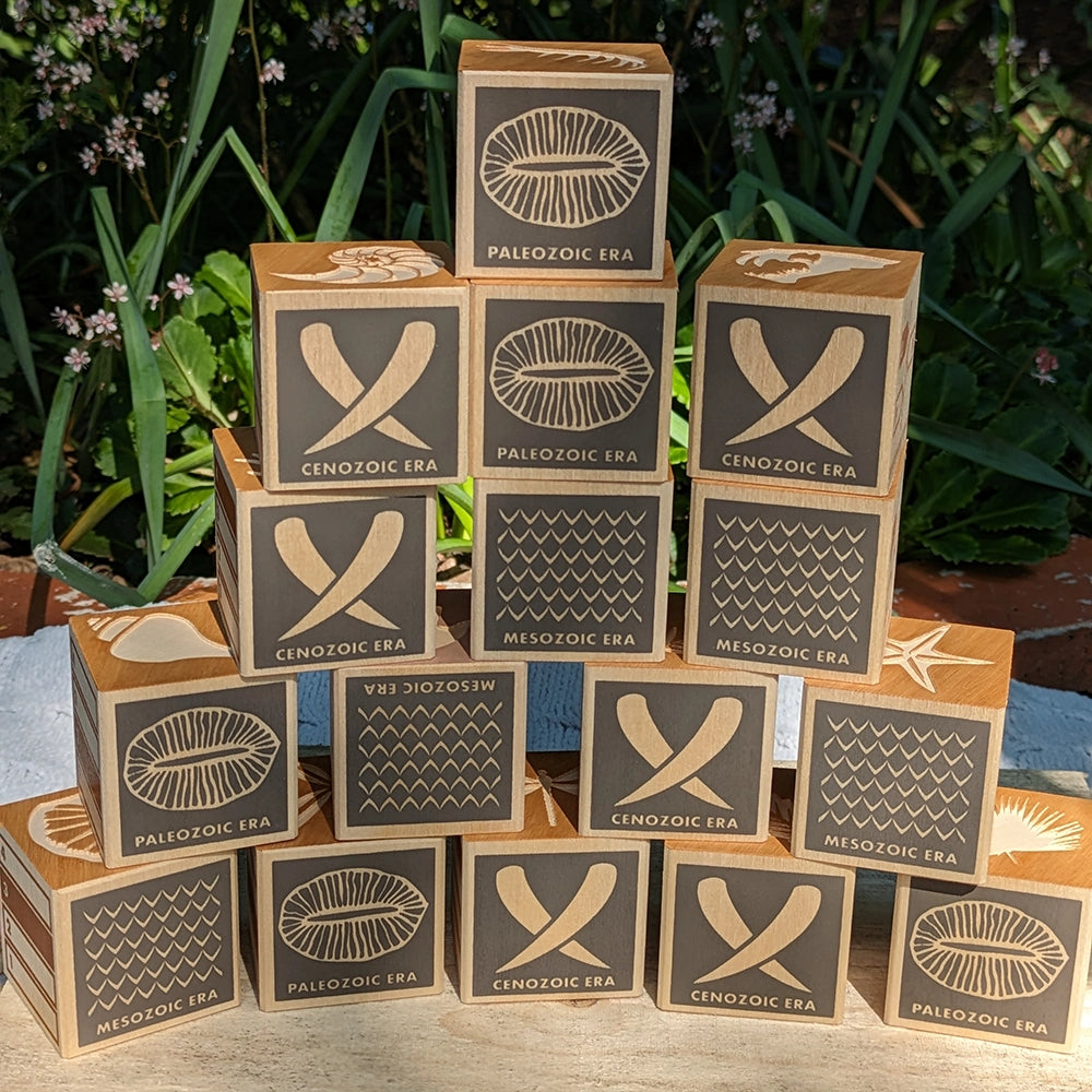 Fossil Wooden Blocks
