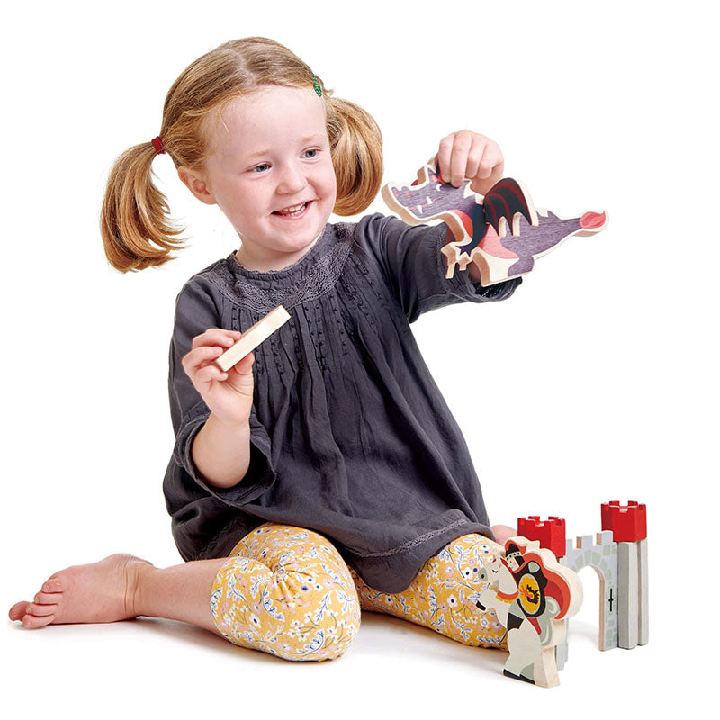 Knight and Dragon Tales Set