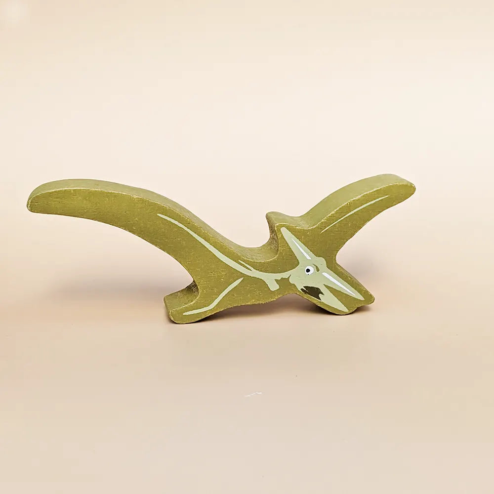 8 Wooden Dinosaurs & Shelf