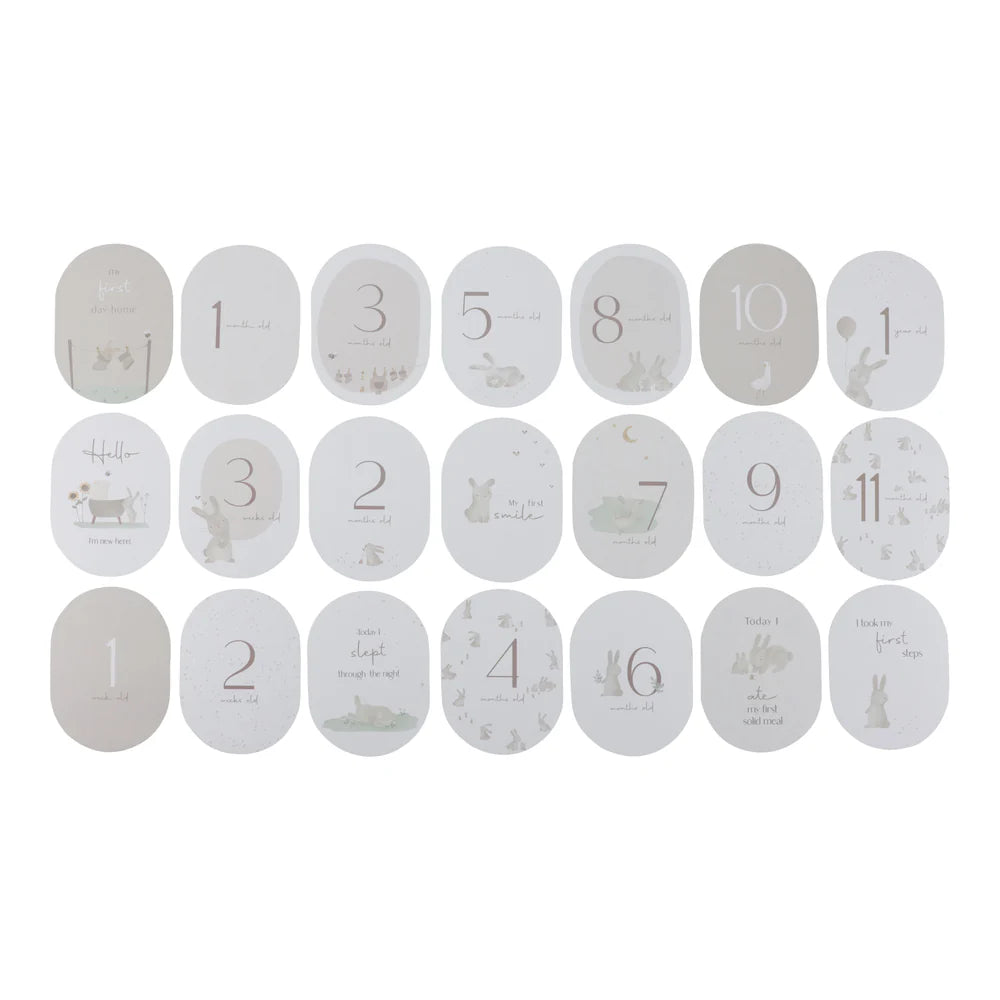 Baby Milestone Cards Baby Bunny