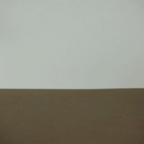 8 Wooden Dinosaurs & Shelf - Zidar Kid