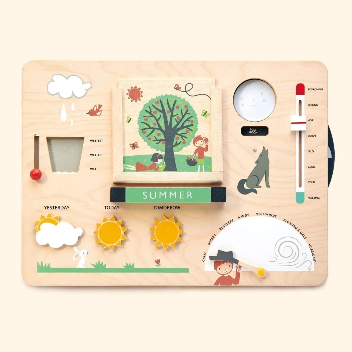 Weather Watch Activity Board - Zidar Kid