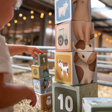 Building Cube Blocks Cardboard - Little Farm