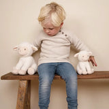 Cuddle Sheep 25cm Little Farm