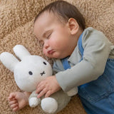 Miffy Bunny Cuddle Soft and Fluffy 25cm Rattle - Green
