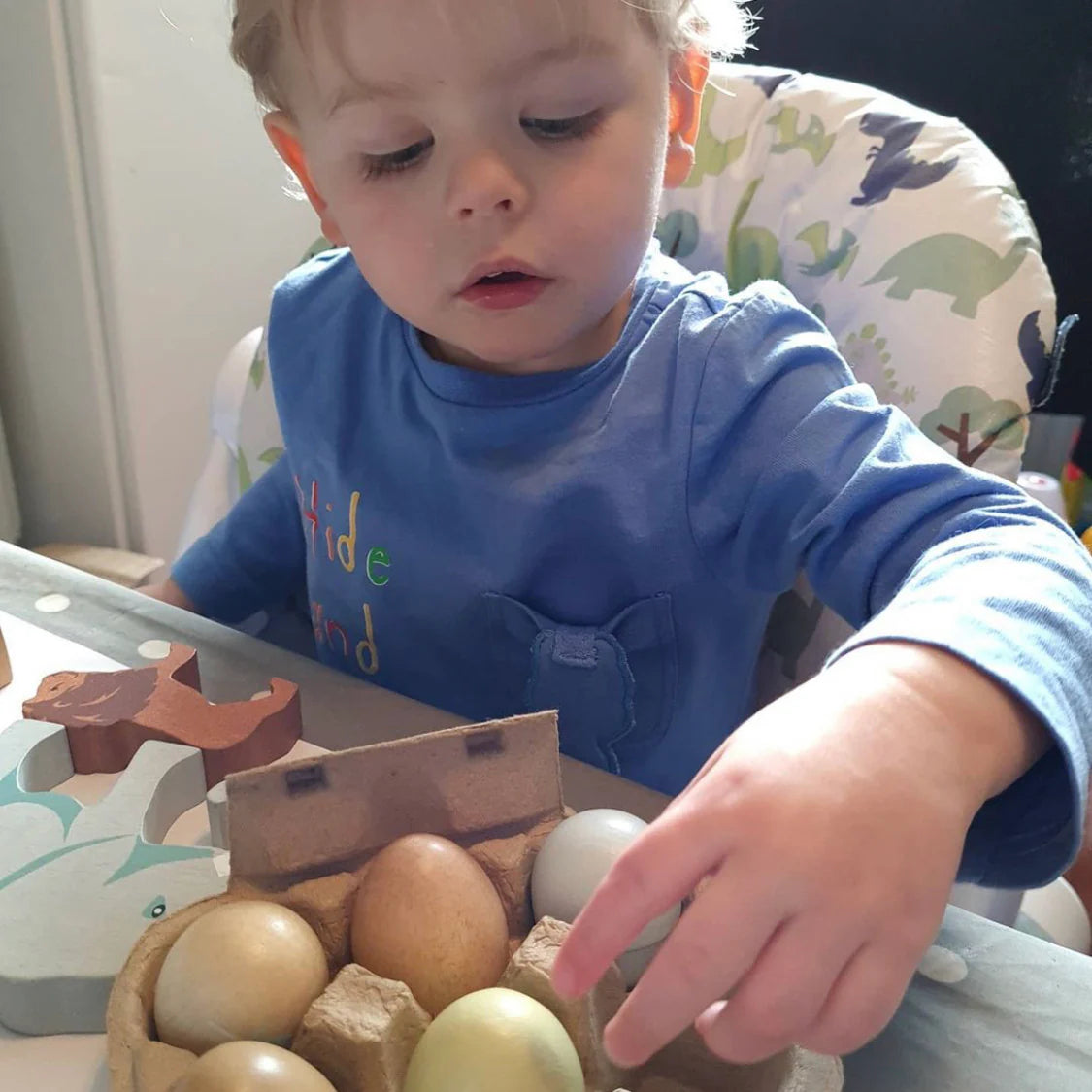 Wooden Eggs Playset